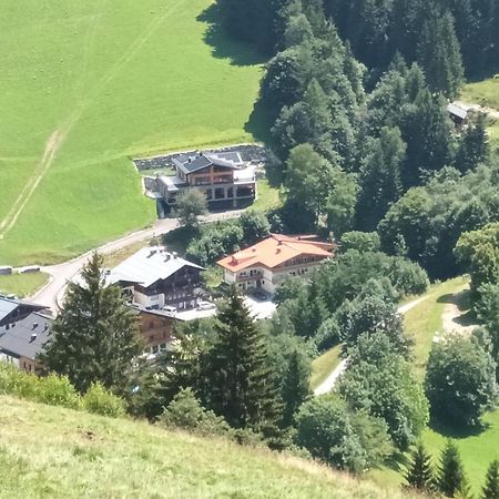 Haus Dienten Top 11 Дінтен-ам-Гохкеніг Екстер'єр фото