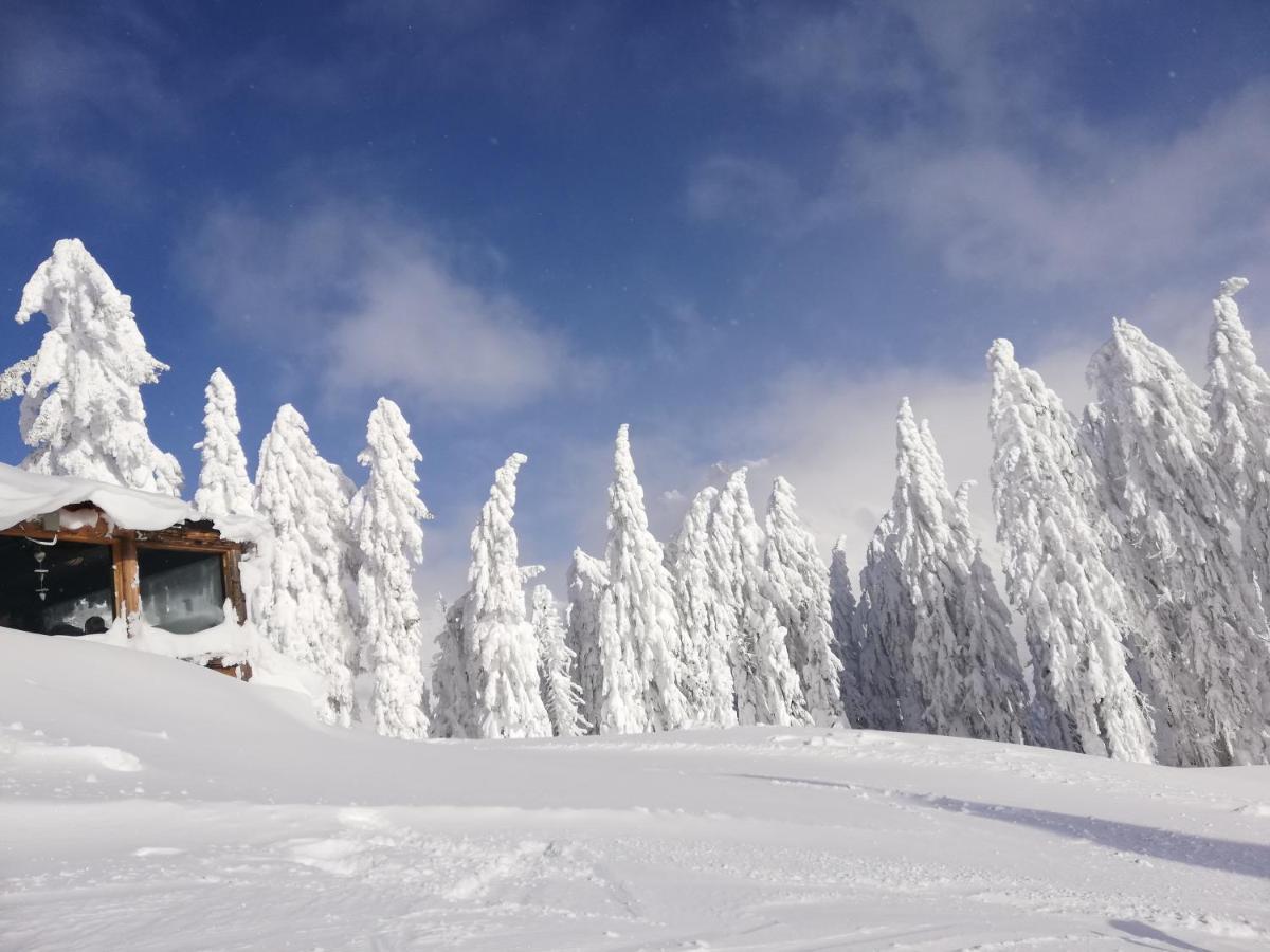 Haus Dienten Top 11 Дінтен-ам-Гохкеніг Екстер'єр фото
